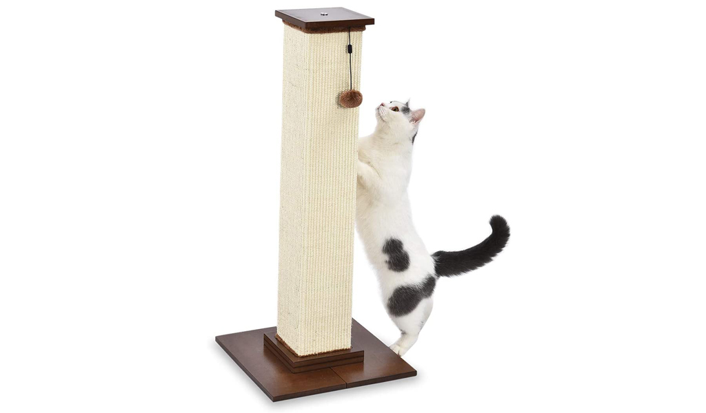 Cómo elegir un poste rascador para su gato